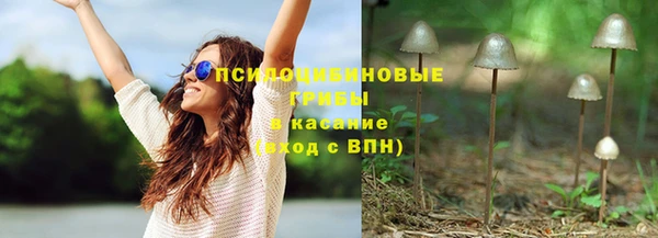 дмт Кукмор