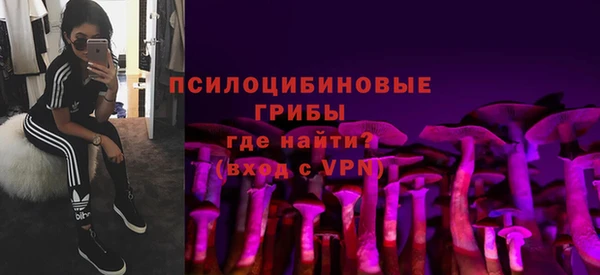 дмт Кукмор