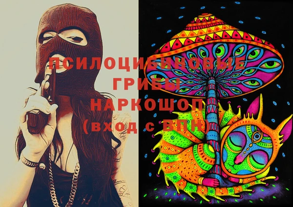 дмт Кукмор