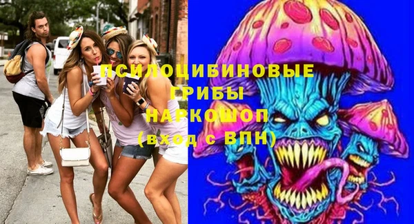индика Тольятти
